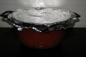 Cover with foil instead of dough 